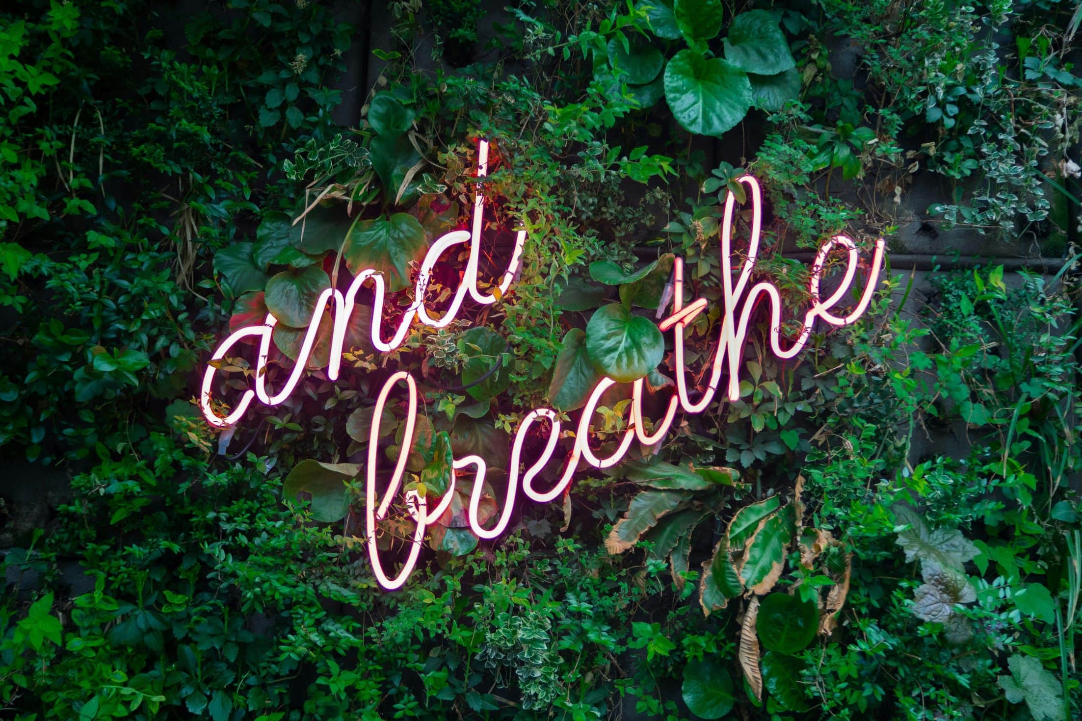 The dark side of self-care: a capitalistic mirage