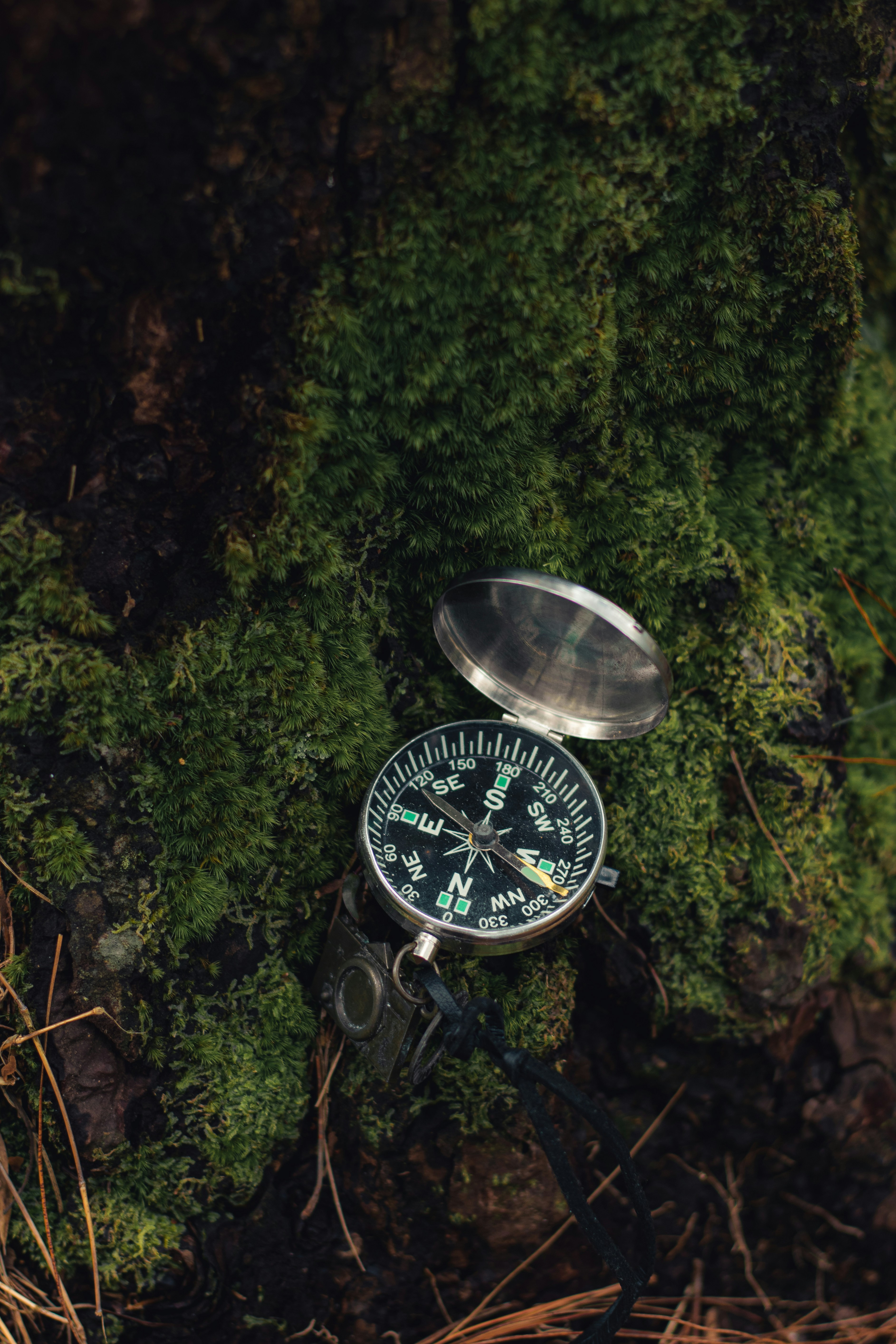 A compass resting on moss — finding direction
