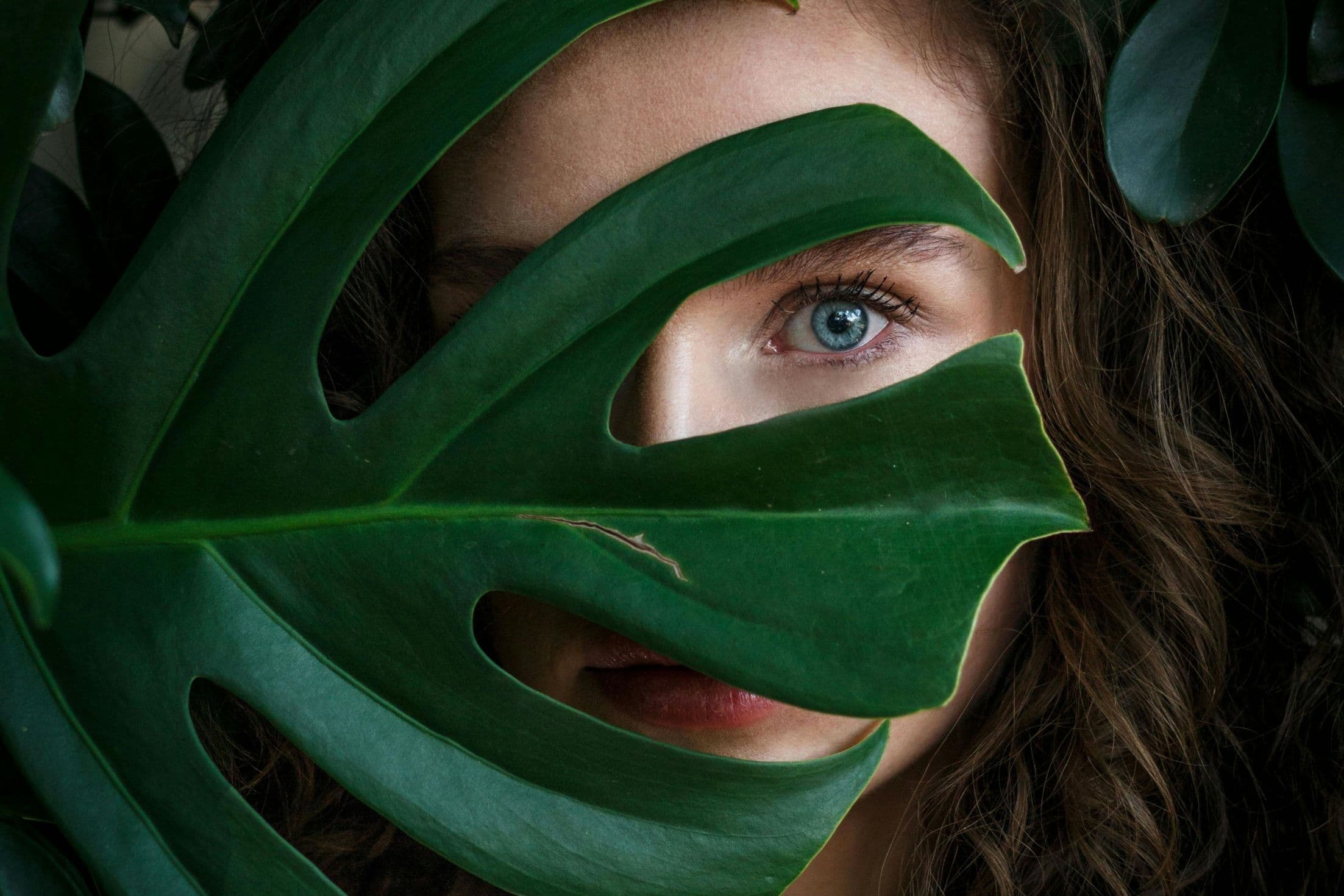 Why clarity is the real productivity hack