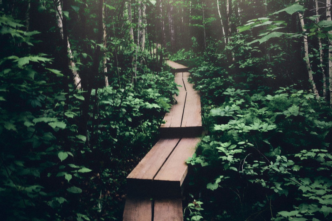 The things you stopped making time for