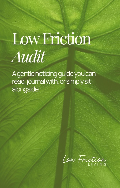 Low Friction Audit cover