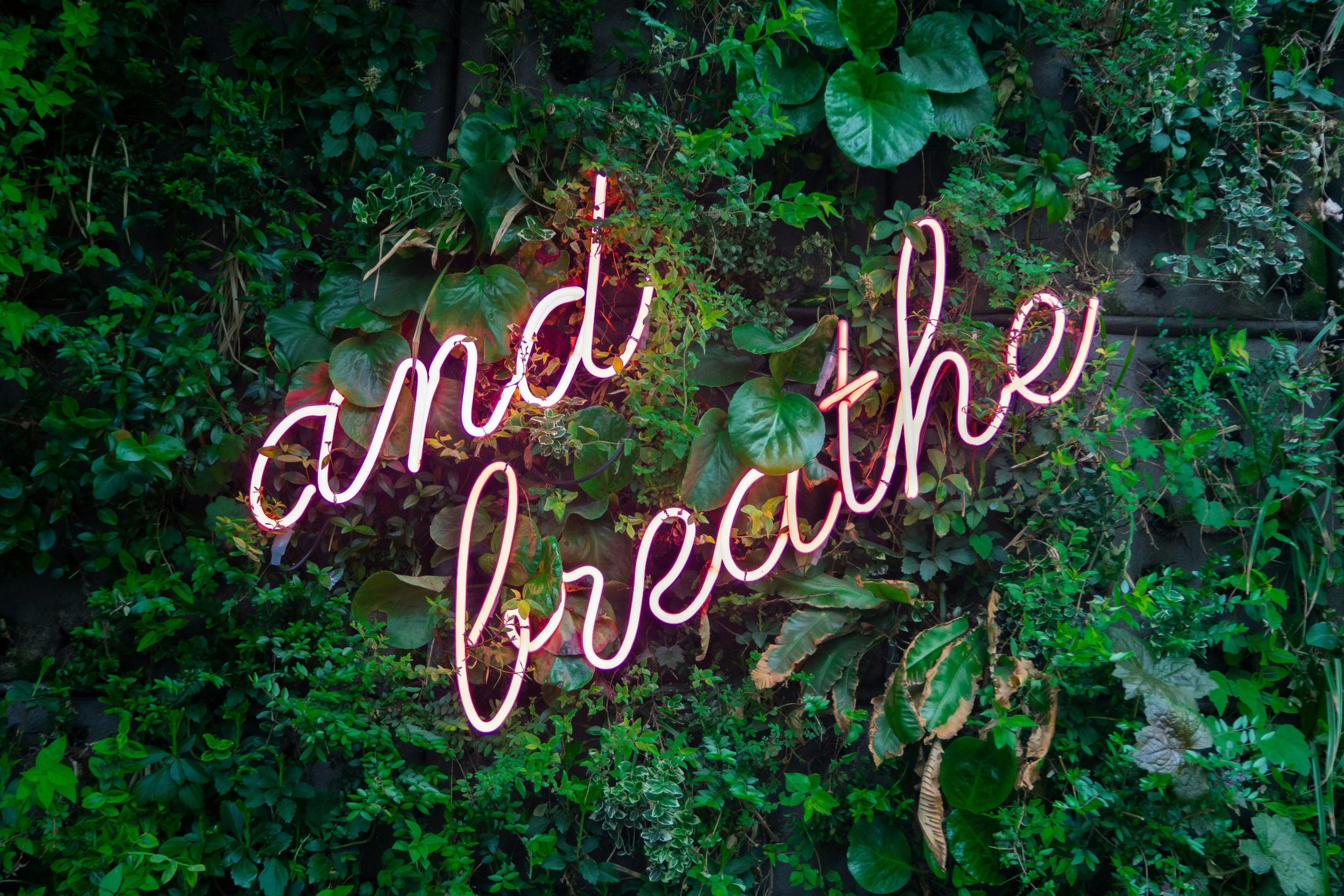 And Breathe neon sign surrounded by lush greenery