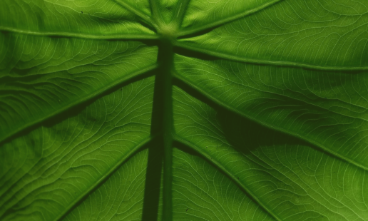 The Low Friction Audit