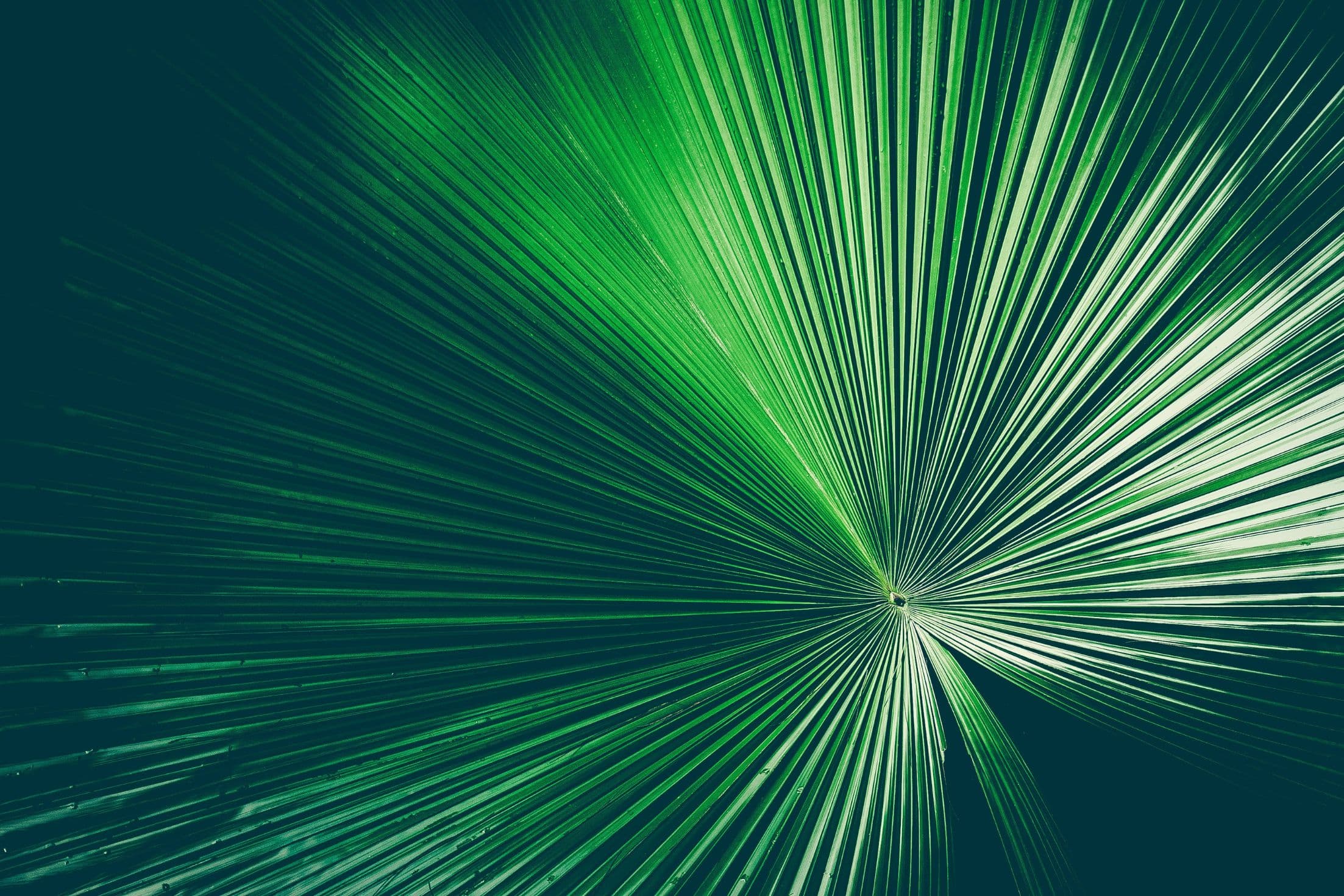 Green and white abstract background with lines