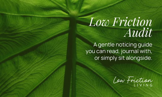 The Low Friction Audit cover